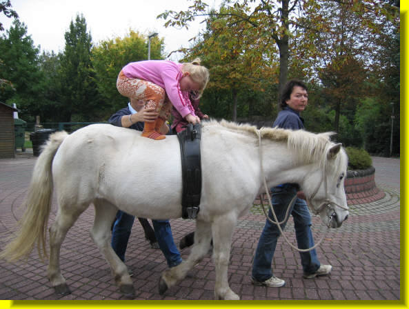 02090214_reituebung2_580