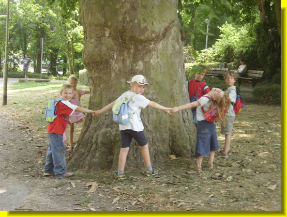 02100806_imgp0346_580